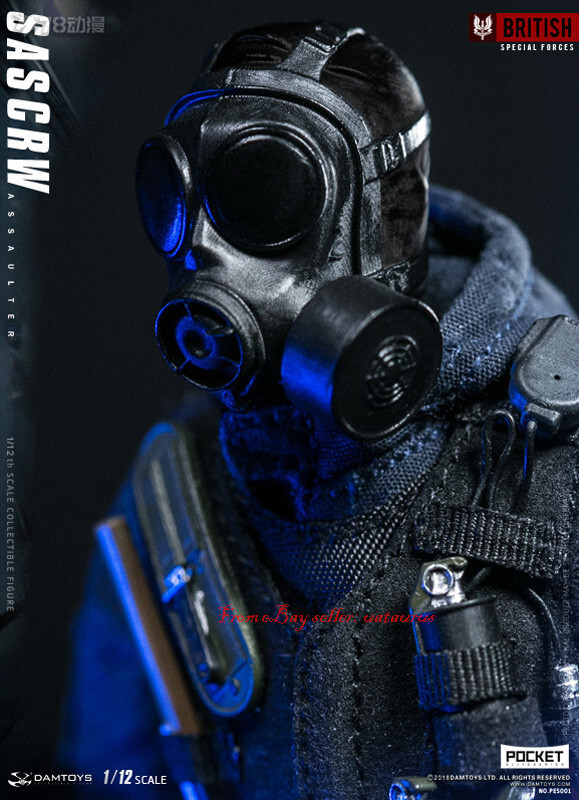 Perfect Damtoys 1/12 Pes001 Pocket Elite Series Sas Crw Assaulter