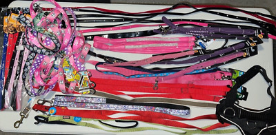 DOG Leashes Buckle Down KONG Yellow Dog PetMate Lot! 43 Pieces BRAND NEW L3S