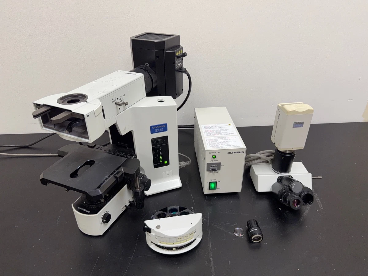 Olympus Fluorescence Microscope Medical Microscopes for sale | eBay