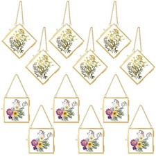 12 Pcs Hanging Clear Photo Frame Double Glass for Pressed Flower Floating Fra...