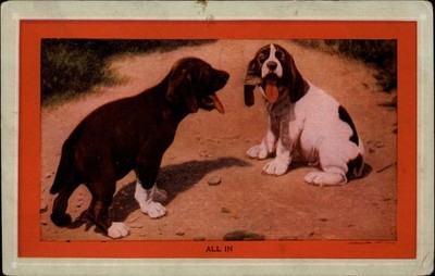 Two hound dog puppies brown white ALL IN ~ 1910 postcard Freddie Lax Dalton OH