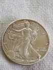 2013 Silver American Eagle 1 oz Brilliant Uncirculated