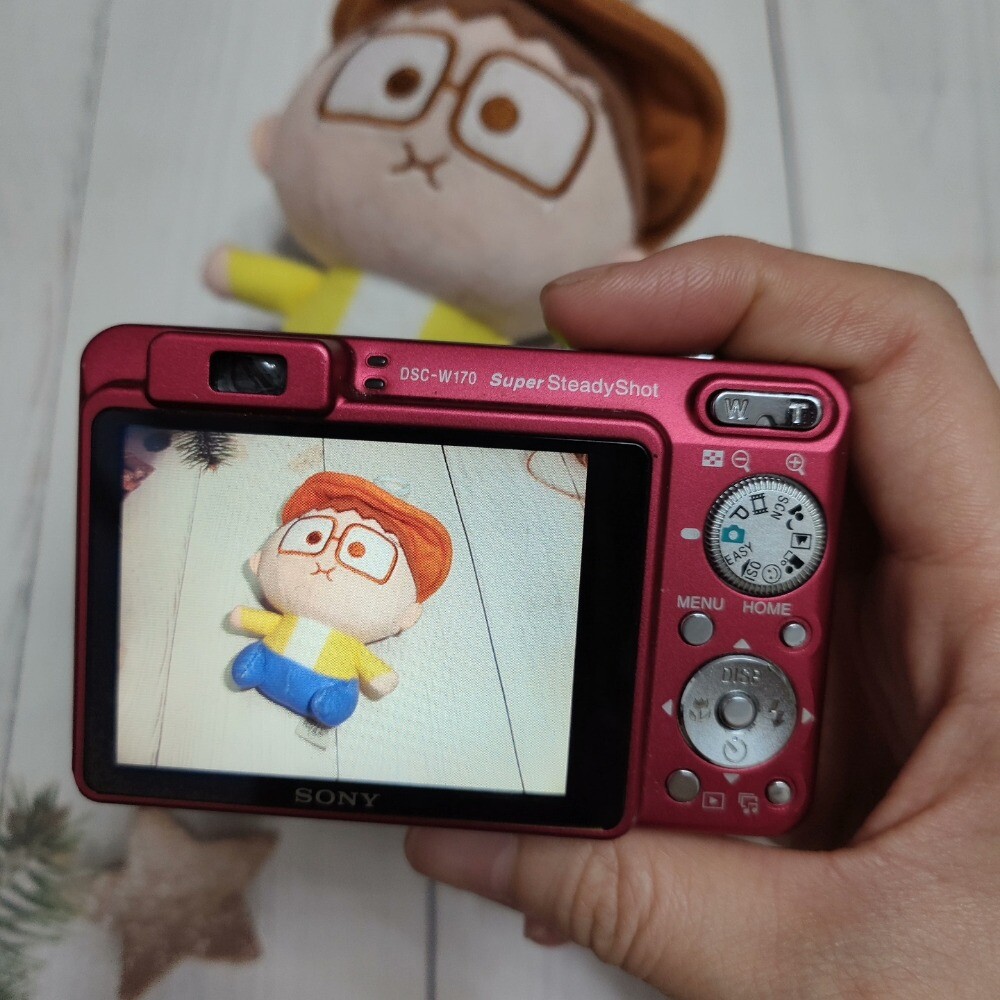 Sony DSC-W170 Digital Camera Face Detection 10.1 MP with