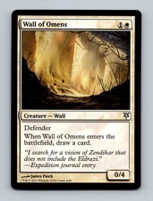 Wall of Omens Duel Decks: Sorin vs. Tibalt Non-Foil MTG NM
