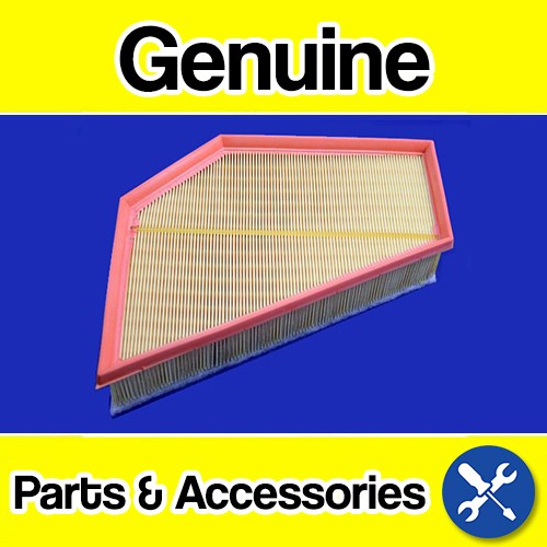 Genuine Volvo C30, C70 (07-) (5 Cyl Diesel D3/D4/D5) Air Filter