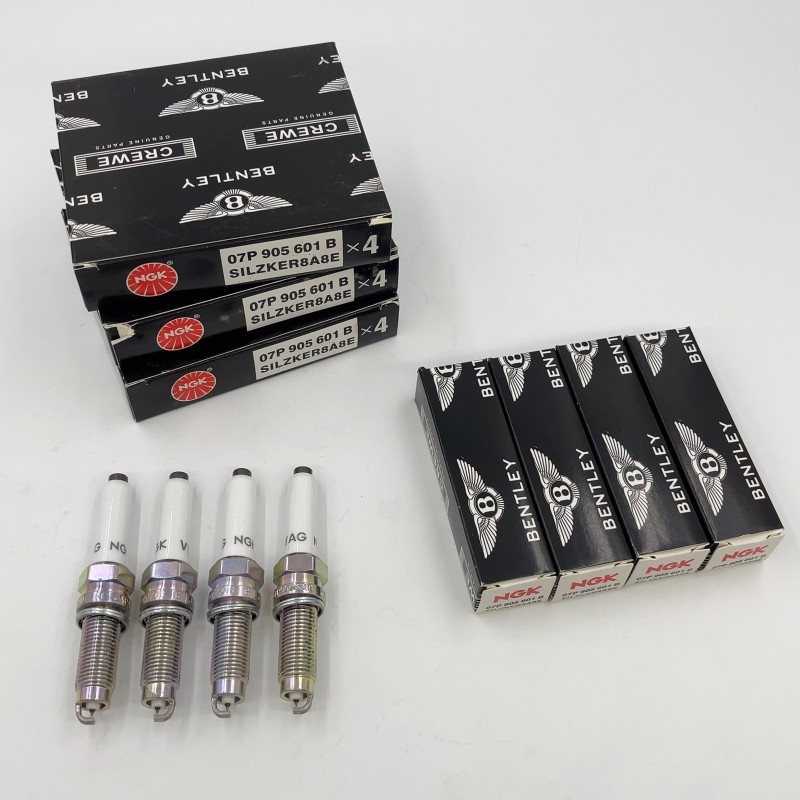 12X OEM Spark Plugs Fitting Bentley W12 6.0T 07P905601 A B W12
