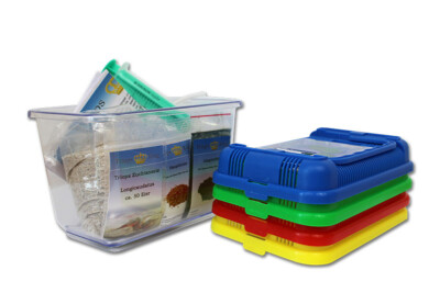 Triops Longicaudatus Full Kit   Beginners prehistoric crabs incl. feed, etc.