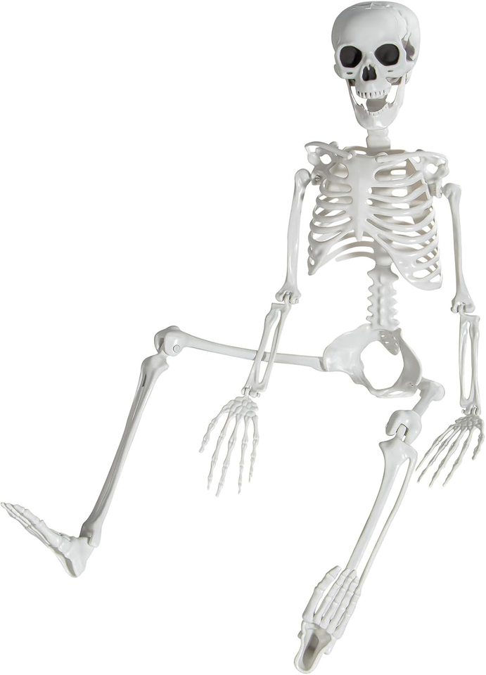 3 Ft Skeletons for Halloween, 36 Inch Life Size Skeleton with Full Body ...