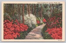 Vintage Linen Postcard Bellingrath Gardens Mobile Alabama Azaleas