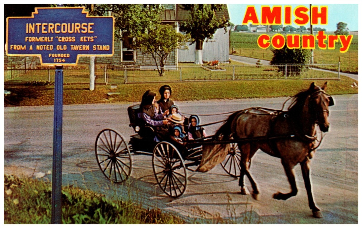 Postcard Amish Women and Children Riding in a Horse Drawn Buggy