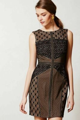 New Anthropologie Heartloom Lace Topography Sheath dress size Small Petite 