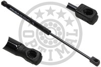Heckklappen DäMpfer Gasfeder Kofferraum Optimal AG-40967 FüR CitroËN DS3 THP 110