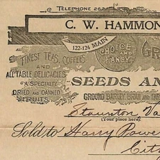 1903 Scarce C.W. Hammond Seeds and Grain Letterhead Billhead Staunton, VA 
