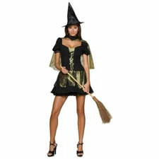 Adult Wicked Witch of the West Costume Halloween