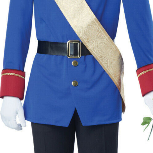 Prince Storybook Costume man jacket coat handsome drum major royal uniform male - Picture 7 of 7