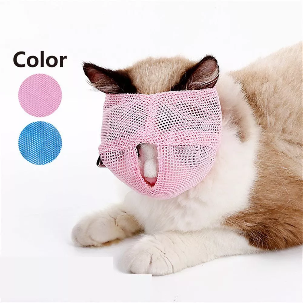 Muzzle of hotsell a cat