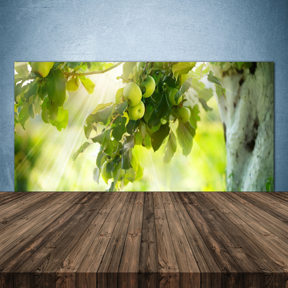 Crédence de cuisine en verre 140x70cm motif pommes et branche pour protection murale