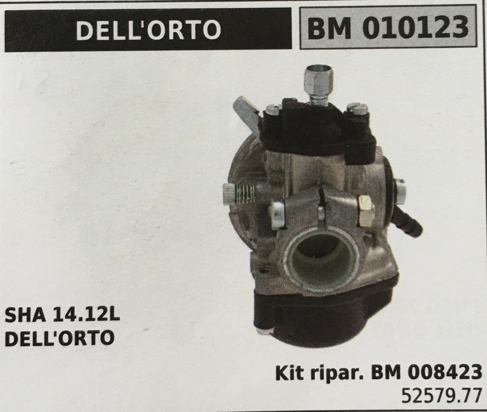 Carburatore Brumar Dell'Orto BM010123 a Vaschetta | Ricambio Originale Emak