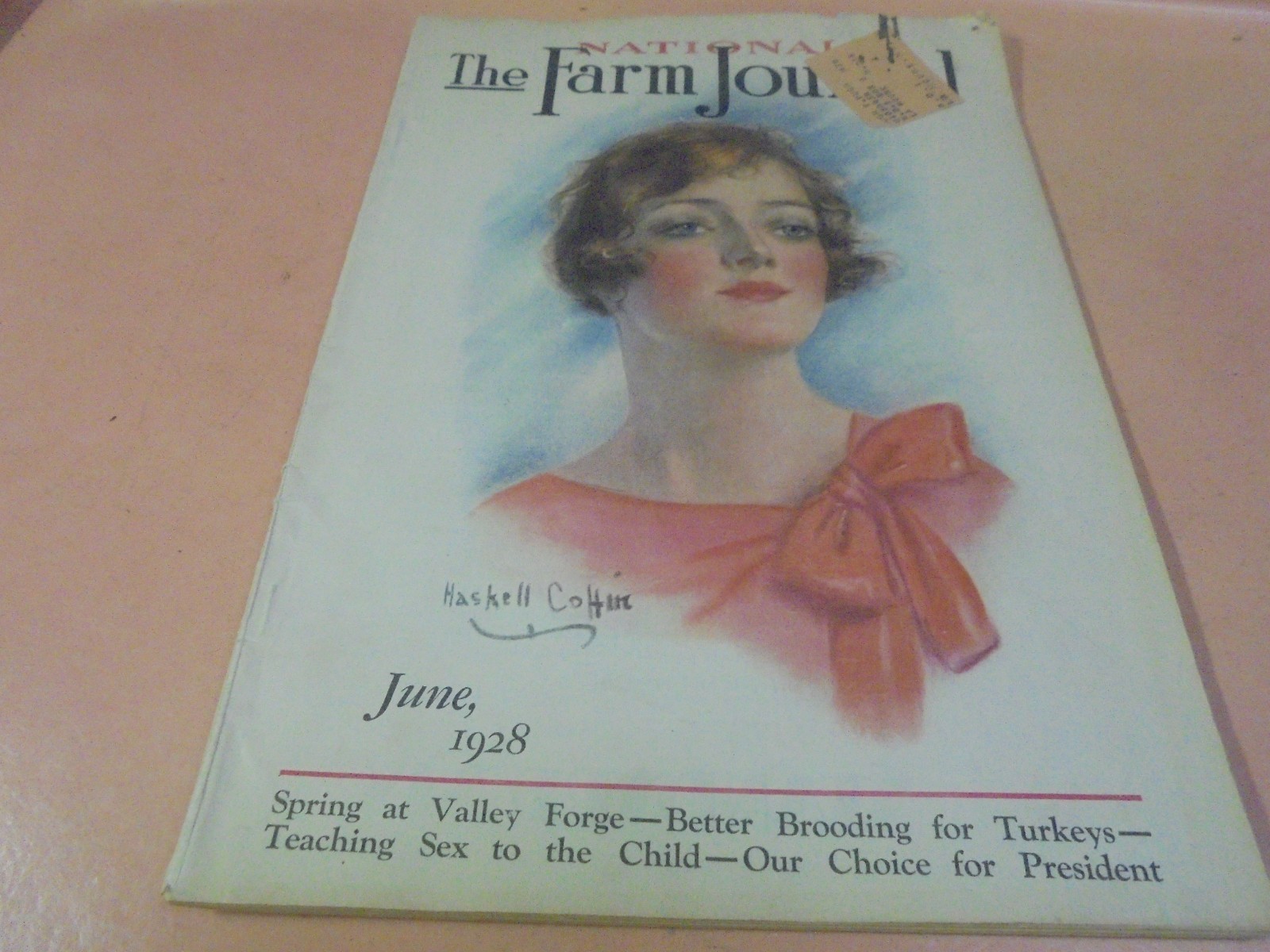Vintage June 1928 The Farm Journal Magazine Haskell Coffin cover