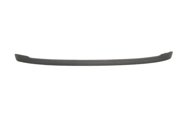 Rear BLIC 5513-00-25339761P Trim/Protection Strip, bumper for FORD