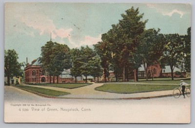 View of Green Naugatuck Connecticut Antique 1905 Rotograph Postcard