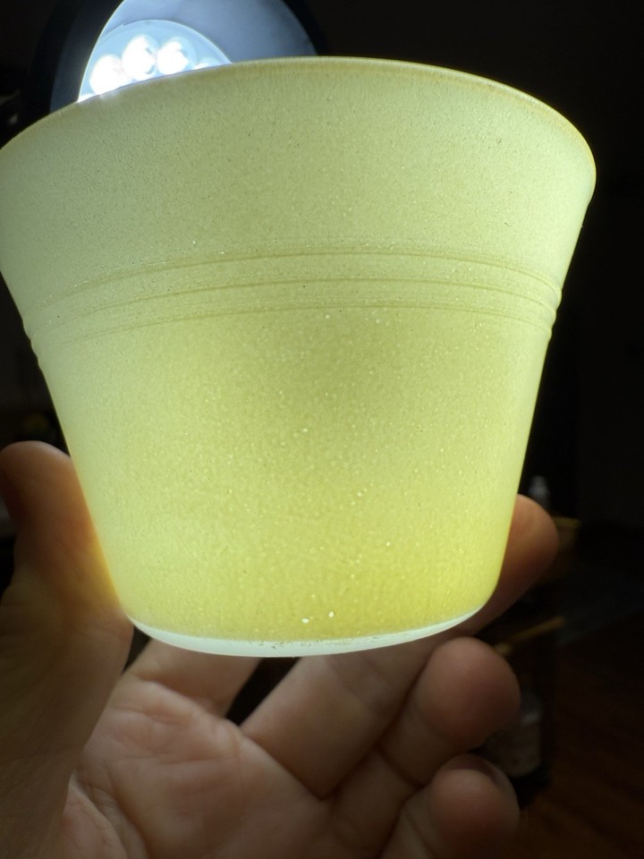 Vintage Crown Pyrex Pastel Custard Cups Set of 6 Made In England NICE ...