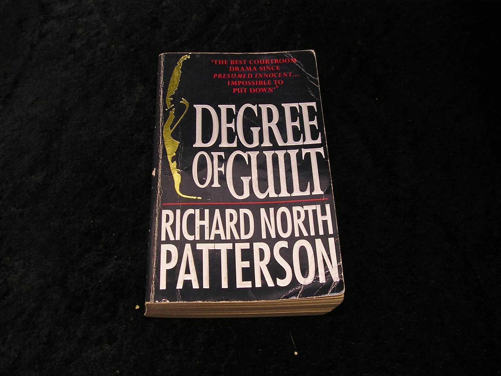 Degree of Guilt by Richard North Patterson