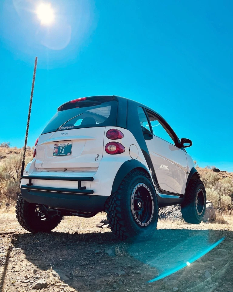 Little Big Supply™ Bolt-On Fender Flare Set for Smart Fortwo w/ Hardware Foto 4 de 4