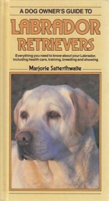 Dog Owners Guide to Labrador Retrievers von Satterthwai... | Buch | Zustand gut