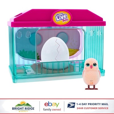 Kids' Interactive Chicken Hutch Toy with Surprise Baby Chick and Accessories