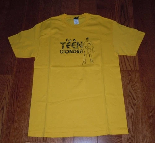 DC COMICS ROBIN I’M A TEEN WONDER 2004 T-SHIRT TEE SZ LARGE BATMAN EUC
