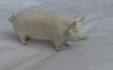 Beswick Pig Boar CH. Wall Champion 53rd