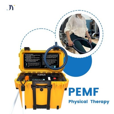 PEMF Therapy Pulsed Electromagnetic Field Pain Relief Pmst Loop Physiotherapy