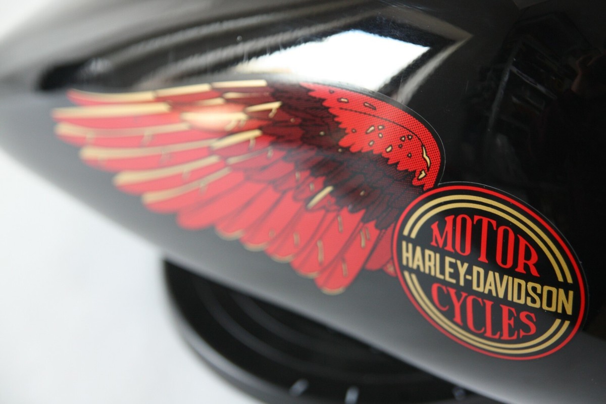 DECALS for 1981-1982 Harley-Davidson FLH FLT Electra-Glide