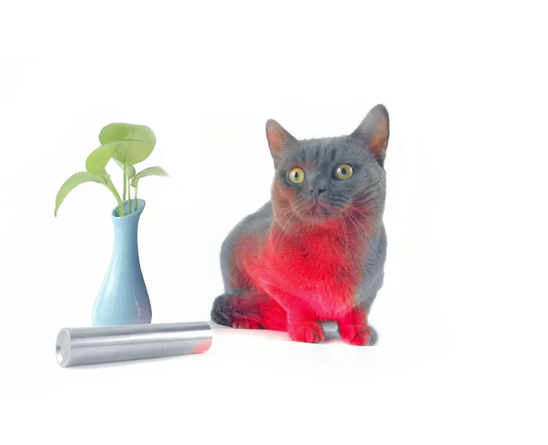 LED Infrared Red Light Pen Physiotherapy Flashlight Therapy Lamp 660nm