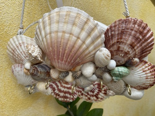 Appendichiavi Portachiavi Da Parete Conchiglie Legno Mare 5 Chiavi Gift Regalo