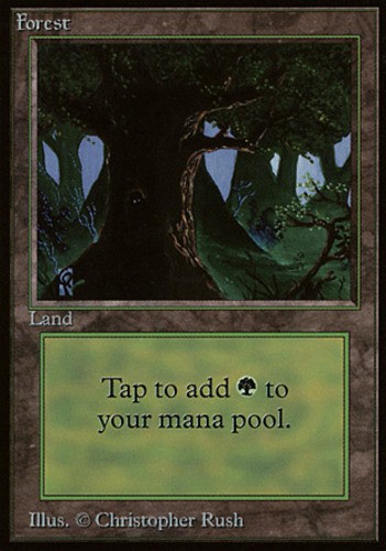 1x Forest (C - Eyes in Tree) Heavy Play, English 1st Edition Beta MTG Magic