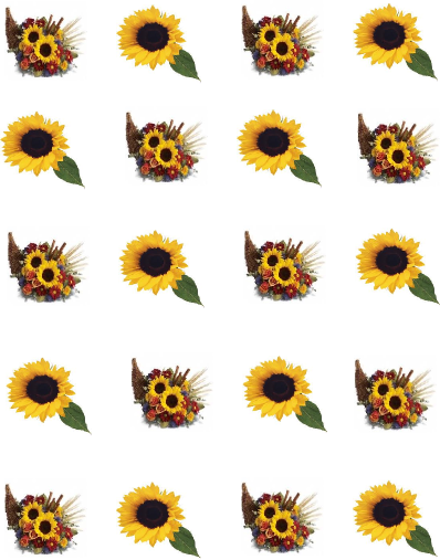 Free Free 131 Sunflower Waterslide Svg SVG PNG EPS DXF File