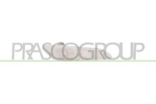 PRASCO AA0804042 Blinker Blinkleuchte vorne Links für ALFA ROMEO 156 Sportwagon