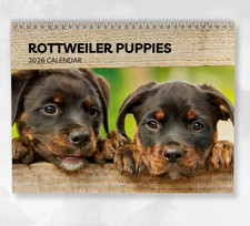 Rottweiler Puppies Calendar 2026: Monthly Wall Calendar with Notes, opens to A3