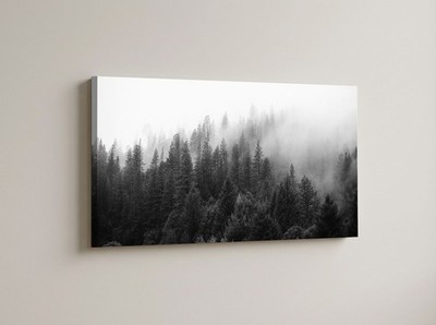 Black White Foggy Forest Canvas Art, Foggy Pine Trees Wall Decor