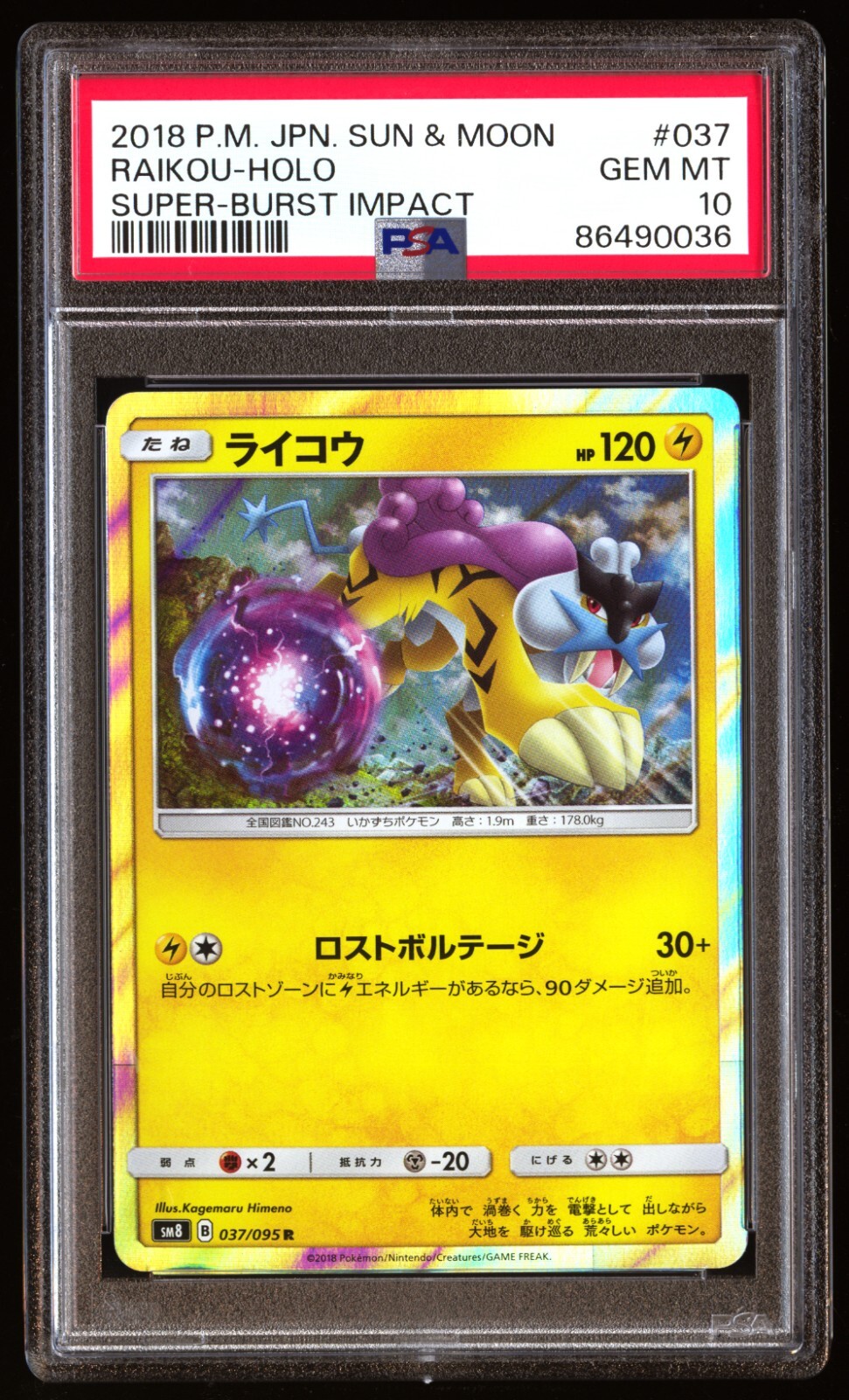 PSA 10 Gem Mint Raikou 037/095 Super-Burst Impact Holo 2018 Japanese Graded Card