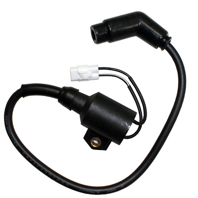 Ignition Coil for Polaris Sportsman 300 4X4 2008 2009 2010 / 3089860 3089910