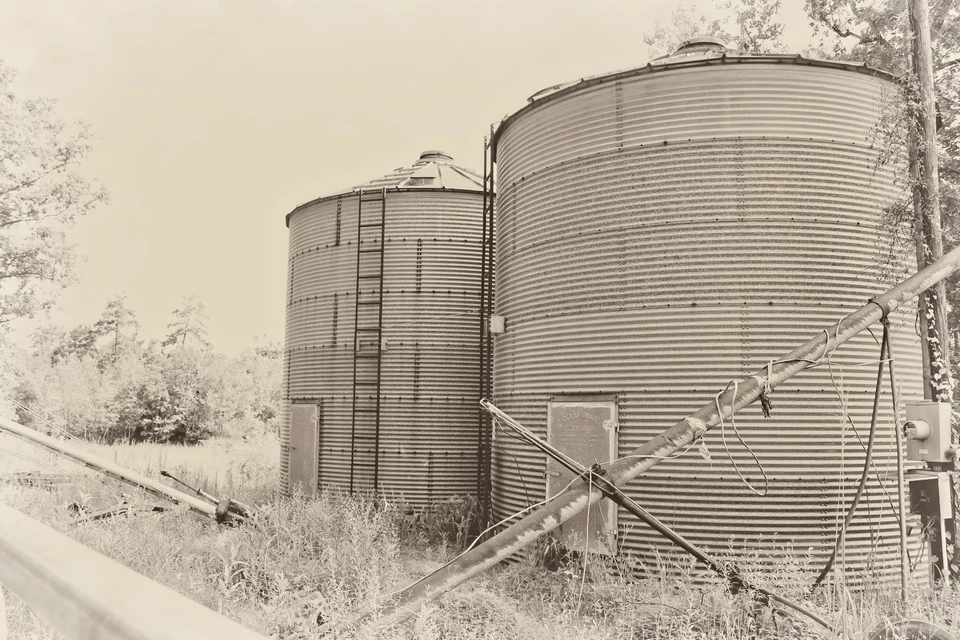 Palmetto Farms White Grits Non-GMO Gluten Free WE ARE THE MANUFACTURER! Polenta - Image 4 of 4