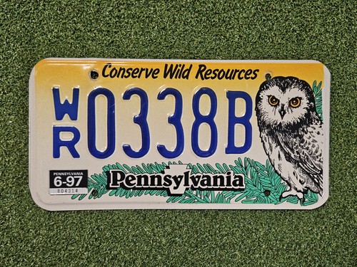 Pennsylvania Conserve Wild Resources Owl License Plate WR0338B