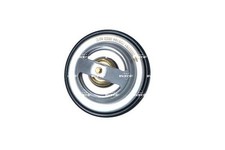 Thermostat Lancia DELTA