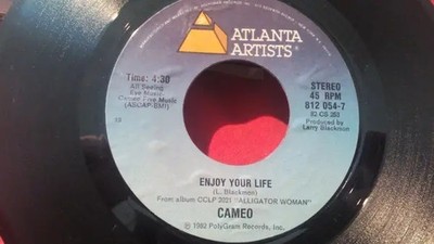Cameo Style / Enjoy Your Life Vinyl Single 7inch Atlanta Artists