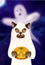 Trick Or Cat- Tree Free Greeting Card - 14678