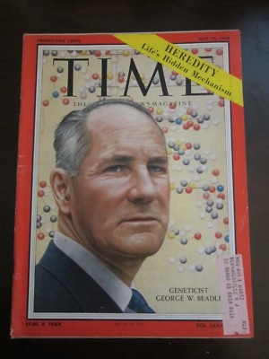 Time Magazine July 1958 Geneticist George W. Beadle Heredity  (D) (C) O E