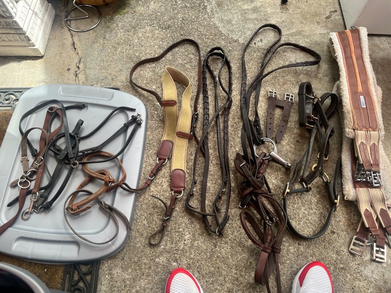 Big Lot of Brown and Black Leather Equestrian Horse Tack Straps